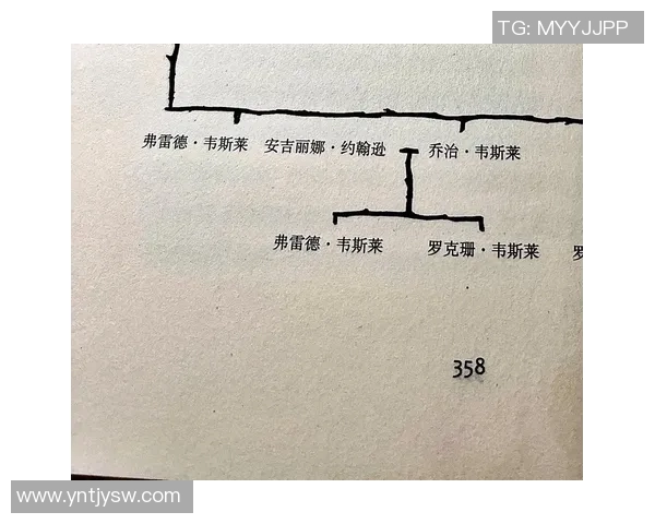 弗雷德范弗利特：从无名小卒到NBA明星的奋斗历程与心路历程